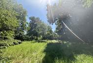 Platz für ein Einfamilien- oder Doppelhaus - Eigengrund am Ödberg in sonniger, grüner Umgebung
