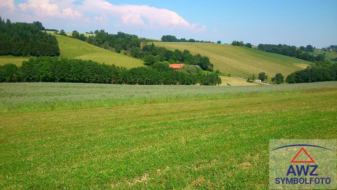 Wunderschöner Bungalow mit großem Garten in ruhiger Aussichtslage!