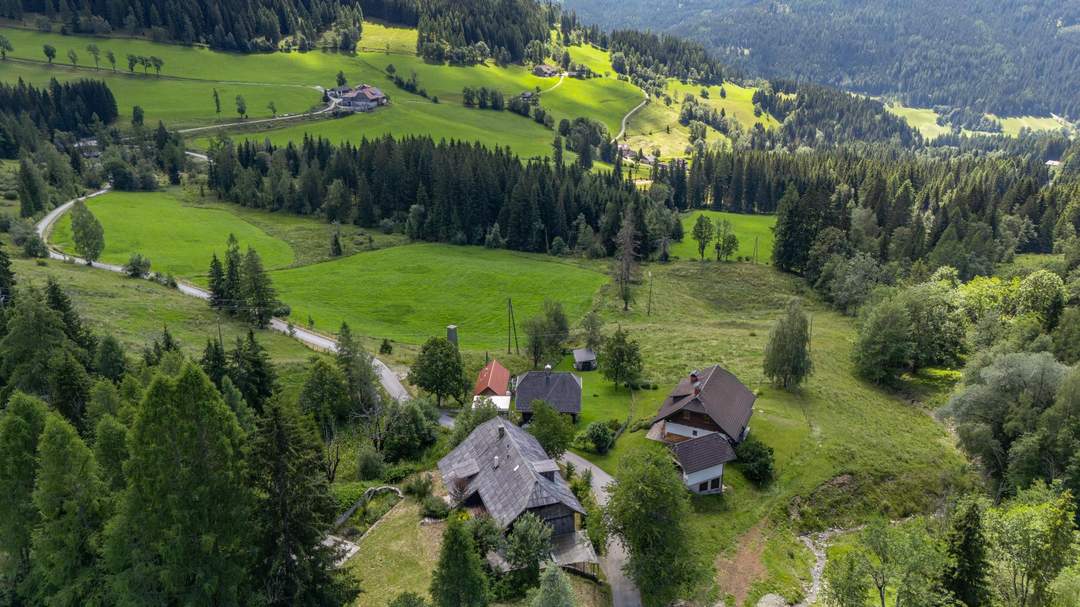 Historisches Almhaus mit unvergleichlichem Bergpanorama