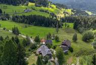 Historisches Almhaus mit unvergleichlichem Bergpanorama