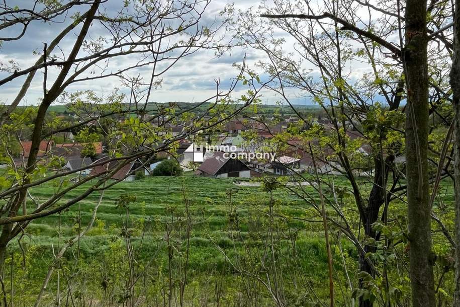 Verborgener Schatz im Reintal - ein Weinviertler Wohnjuwel mit Potenzial, Haus-kauf, 150.000,€, 2275 Mistelbach