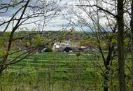 Verborgener Schatz im Reintal - ein Weinviertler Wohnjuwel mit Potenzial