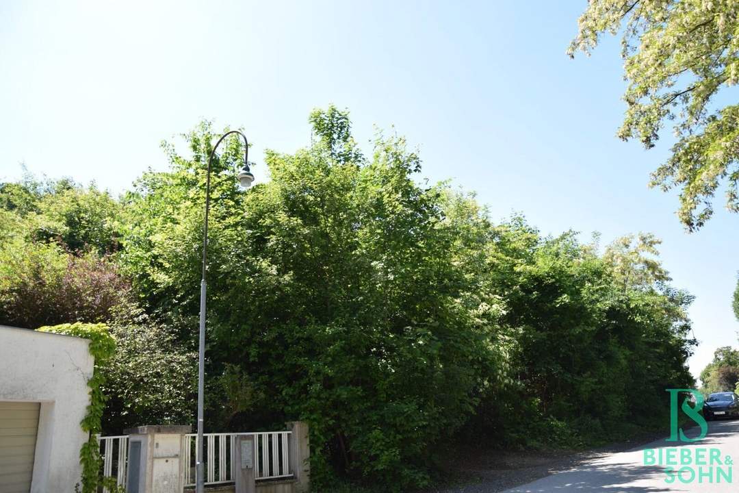 Beim Buchberg - Baugrund in herrlicher Aussichtslage - vielseitige Nutzungsmöglichkeiten