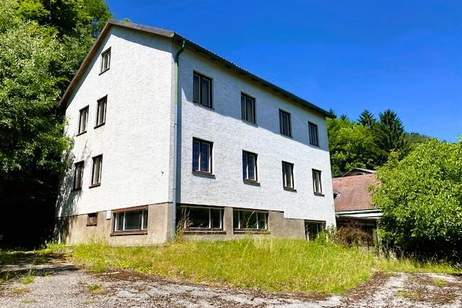 Mehr als 5000m² Grund! Wo sich Fuchs und Hase "gute Nacht" sagen!, Haus-kauf, 175.000,€, 2640 Neunkirchen