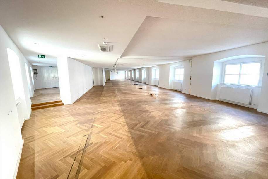 Repräsentative Büroetage im Herzen Wiens zu mieten: Arbeiten im geschichtsträchtigen Palais Harrach, Gewerbeobjekt-miete, 36.235,92,€, 1010 Wien 1., Innere Stadt