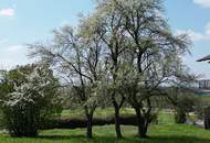 Attraktives Grundstück im Innviertel / Nähe Mattighofen