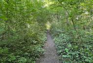 4-Zimmer-Wohnung in Jedlesee nahe Donau | Fertiggestellt