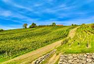 2-Zimmer Wohnung mit traumhaften Panoramablick inmitten der Weinberge von Klöch - Erstbezug!