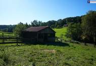 NEUER PREIS! AUSSERGEWÖHNLICHES JUWEL! Exklusiver Vierkanthof im Thermenland Steiermark – Wohnen, Reiten &amp; Leben mit Pool und Natur!