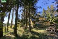 Aus alt mach neu - Historisches Einfamilienhaus in Alleinlage am Hügel in Bad Großpertholz mit großem Garten - JETZT ANFRAGEN