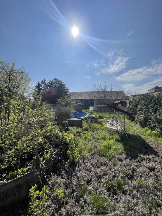 Grundstück mit Altbestand