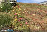Charmantes Einfamilienhaus mit gemütlicher Atmosphäre