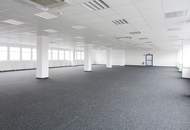 Büro südlich von Wien in Wr. Neudorf