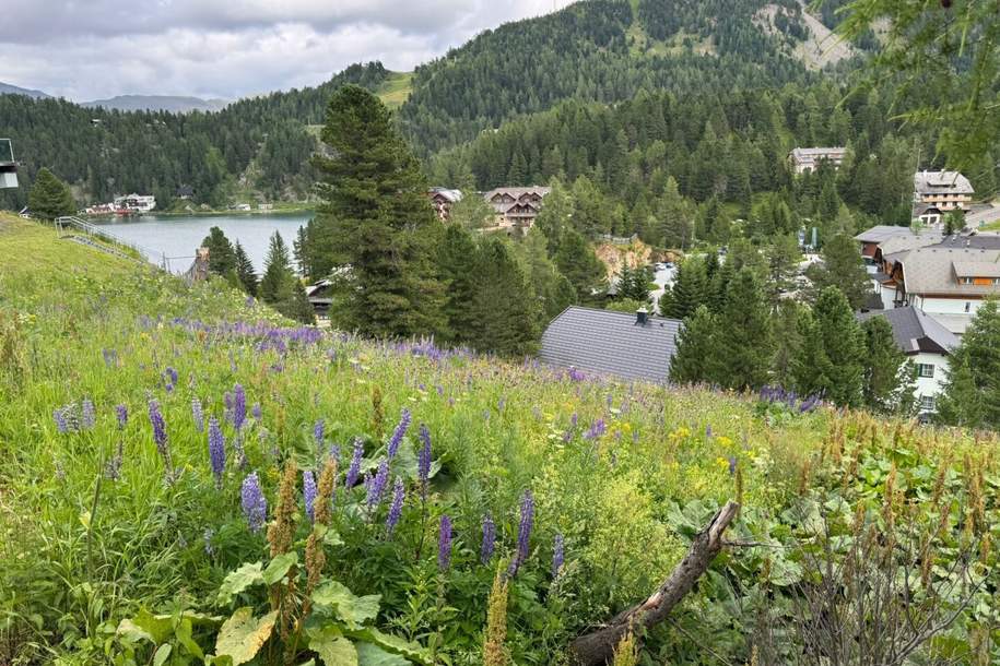 Turracher Höhe - Ein Grundstück mit Seltenheitswert – ideal für eine hochwertige touristische Entwicklung. Baugrundstück für eine Apartmentanlage - DIREKT bei der Piste und der Talstation "Panoramabahn", Grund und Boden-kauf, 840.000,€, 9565 Feldkirchen
