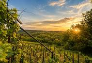 UNGARN - Winzerhaus (Pinze) in idyllischer Weinberglage bei Zalaegerszeg