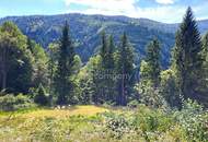 Wohnen direkt am Waldrand mit Panoramablick