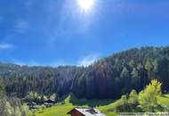 Freihstehendes Einfamilienhaus am wunderschönen unteren PILLBERG zu verkaufen