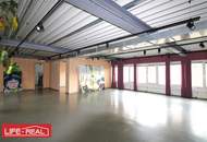 repräsentatives Büro im Hafenviertel für kreative Branchen, Teilflächen möglich