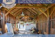 Sanierungsbedürftiges Wohnhaus in dörflicher Idylle!
