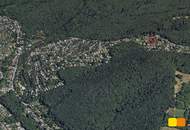 Einfamilienhaus am Satzberg, ein besonderer Ort über Wien