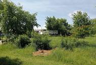 Grundstück am Zicksee im Burgenland