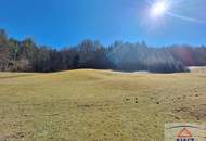 Einzigartiges Grundstück am Waldrand: Naturparadies mit Baugrund!