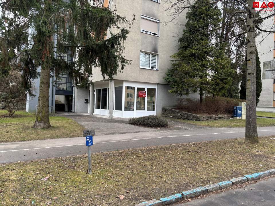 NEU (maßgeschneidert) sanierte Geschäfts-/Büro-/Ordinationsfläche mit XL-Schaufenstern - 1A Preis-/Leistung, direkt neben dem (Vital-)Zentrum Muldenstraße!