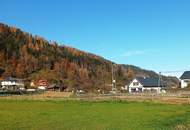 Landwirtschaft 11 ha, mit Hofstelle, Wald und Wiese