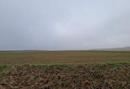 TOLLE ACKERFLÄCHE IN SÜDSEITIGER AUSRICHTUNG MIT GUTER BONITÄT IN GROßMUGL