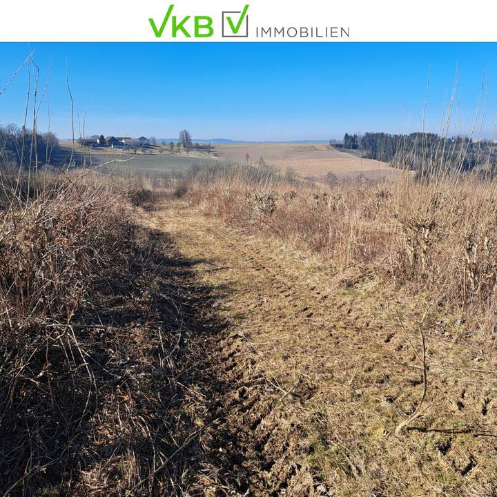 Exklusives Weinbaugrundstück, Südhang in sonniger Lage!