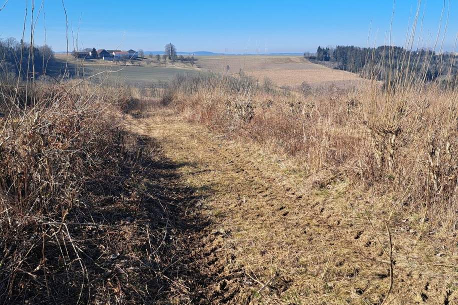 Exklusives Weinbaugrundstück, Südhang in sonniger Lage!, Grund und Boden-kauf, 461.175,€, 4942 Ried im Innkreis