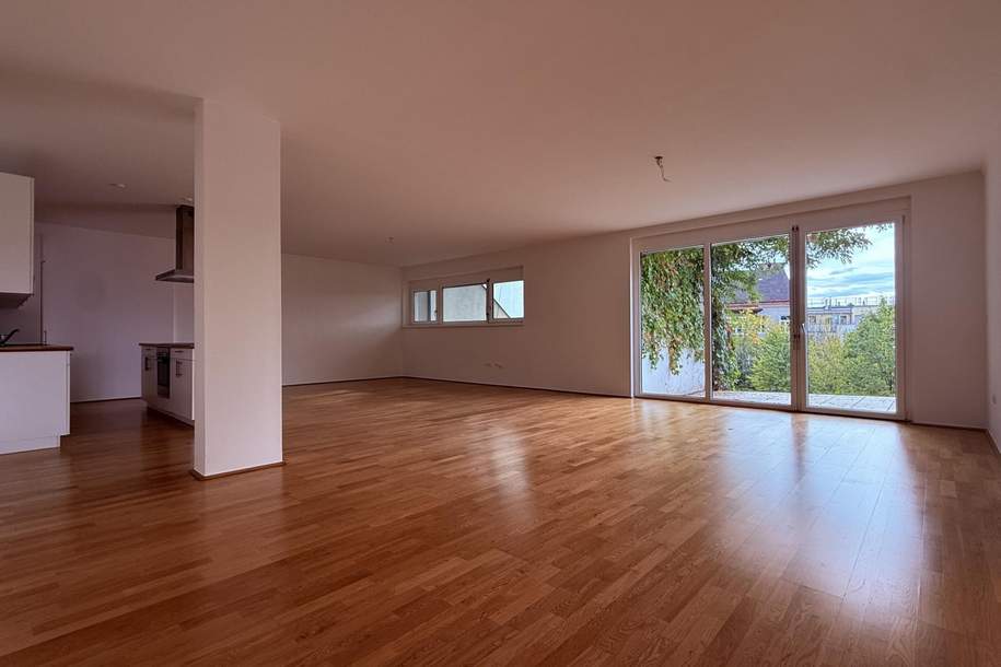 55m² Terrassenfläche!!! Hochwertige 4-Zimmer-Neubauwohnung mit Weitblick in ruhiger Lage!, Wohnung-miete, 3.195,00,€, 1180 Wien 18., Währing