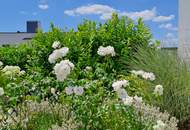 TRAUMHAFTES REFUGIUM AM PRIVATSEE