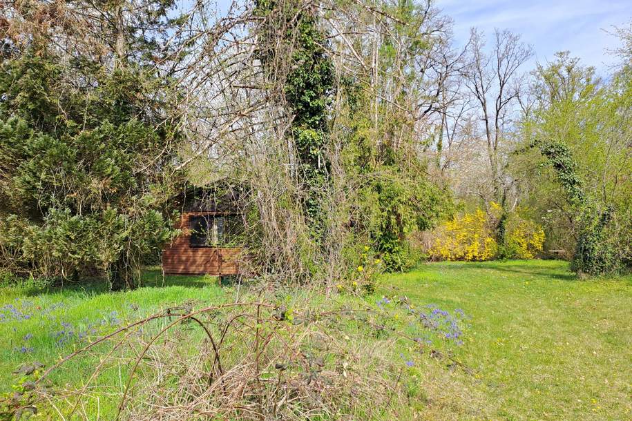 Baugrund am Waldrand, Grund und Boden-kauf, 440.000,€, 4060 Linz-Land