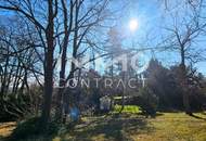 Bauträger oder Privatperson: Traumhaftes, großes Grundstück mit Altbaumbestand in ruhiger Lage