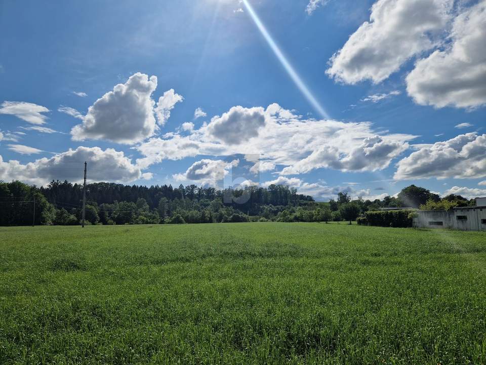 SCHÖNE SONNIGE RUHELAGE!