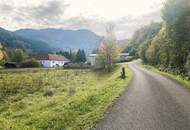 VIEL PLATZ! Großzügiges Baugrundstück im Herzen des Almtals