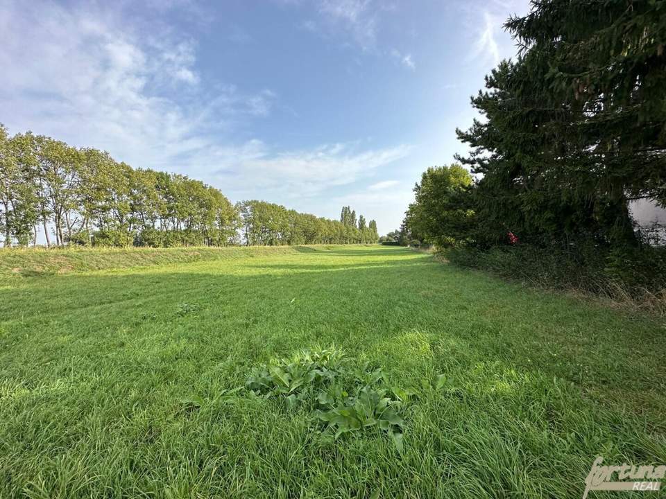 Grundstück für Bauträger in Königstetten