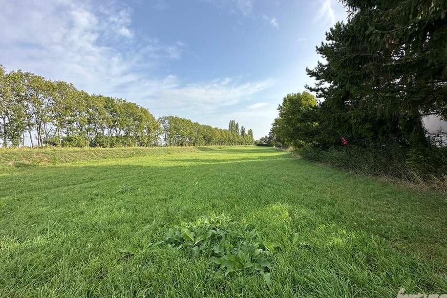 Grundstück für Bauträger in Königstetten, Grund und Boden-kauf, 3433 Tulln