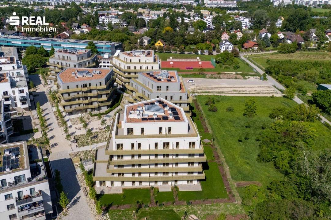 Hirschfeld - Ihr neues Zuhause im Grünen - anfragen, besichtigen, einziehen - 41 bis 96 m²