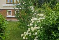 Ihre Liegenschaft mit soviel Wald! Errichten Sie hier Ihr Traumhaus!