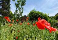 Arbeiten, Spielen und Wohnen