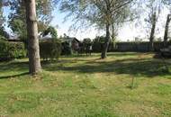 Urbanes Wohnen mit großem Garten mit kleinem Einfamilienhaus in Essling