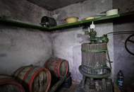 UNGARN - Winzerhaus (Pinze) in idyllischer Weinberglage bei Zalaegerszeg