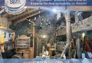 Romantische Kellerjuwele mit sonniger Terrasse und Naturgarten!