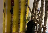 Attraktive 3-Zimmer-Wohnung 83m2 in Pernegg an der Mur (Provisionsfrei)