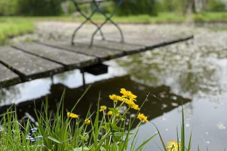 Naturjuwel in Gottsdorf – exklusives 4ha großes Grundstück mit drei Teichen, Grund und Boden-kauf, 510.780,€, 3680 Melk