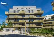 Hirschfeld - Ihr neues Zuhause im Grünen - anfragen, besichtigen, einziehen - 41 bis 96 m²