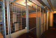 Winterhit: Wohnung mit Tiefgarage in Pöchlarn