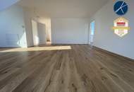 *Superprojekt: ''Über den Baumwipfeln" *TOP 53* 4,5 Zimmer mit SUPER-PANORAMA-DACHTERRASSE + 360° WIEN-BLICK + EXTRA BALKON